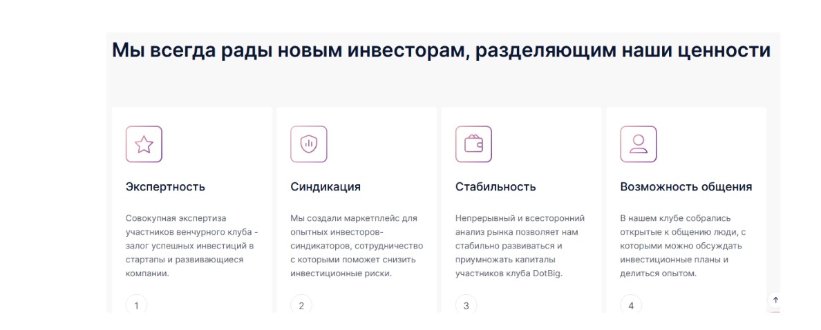 Почему DotBig – это лучший выбор для долгосрочных инвестиций?