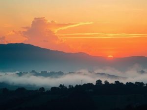 Чистый воздух как закон: как работают правовые нормы охраны атмосферы