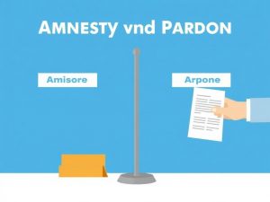 Амнистия и помилование: различия и порядок применения