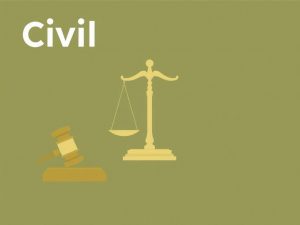 Гражданский процесс: понятие и задачи