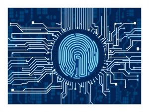 Биометрические данные: защита и использование в эпоху цифровой прозрачности