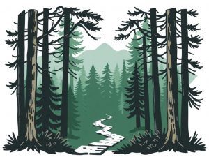 Лесное законодательство: что нужно знать каждому лесопользователю