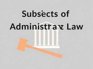Субъекты административного права: кто управляет порядком и кто подчиняется