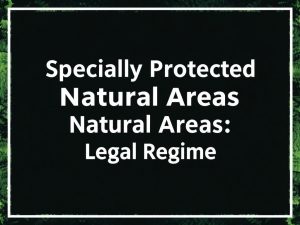 Особо охраняемые природные территории: правовой режим — как устроена охрана природы в России