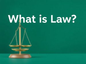 Право глазами разных мыслителей: как понять, что такое право и зачем нужны его подходы