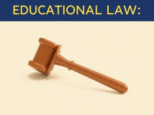 Образовательное право: принципы и гарантии, которые держат учебу на плаву