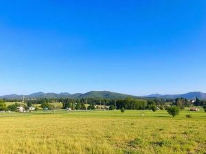 Предоставление земельных участков: порядок и условия