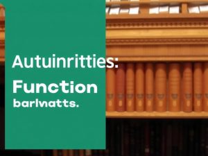 Таможенные органы: функции и полномочия