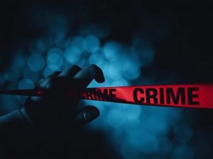 Субъективная сторона преступления: вина, мотив, цель